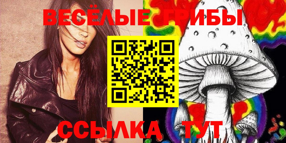 Галлюциногенные грибы Psilocybine cubensis Нягань